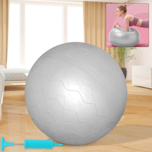 Heavy Duty Gym Ball Non-Slip Stability Ball with Foot Pump for Total Body
