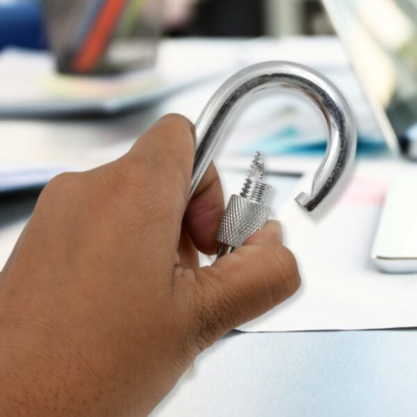 Snap Hook With Screw-Stainless Steel Snap Hook Clip Heavy Duty, Carabiner Clip - Image 4