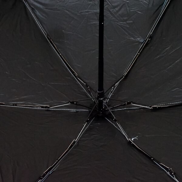 5 Fold Manual Open Umbrella With Capsule Case (1 Pc) - Image 4