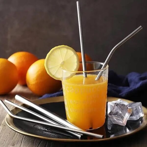 Reusable Stainless Steel Straws with Case for Drinking (4 Pc, Eco-Friendly) - Image 3