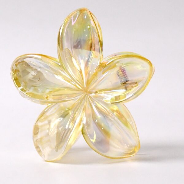 Hair Clamp Grip, Simple Matte Hair Barrette Clamp Charming Decoration Hair - Image 3