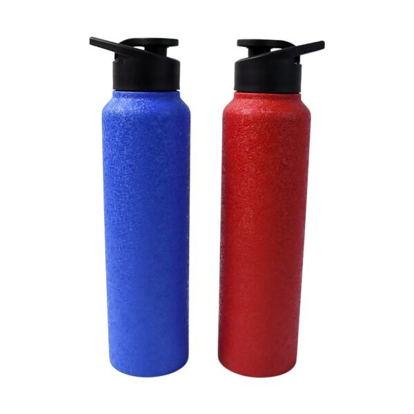 Stainless Steel Water Bottle, Fridge Water Bottle (1000ML / Mix Colour / 1 Pc) - Image 5