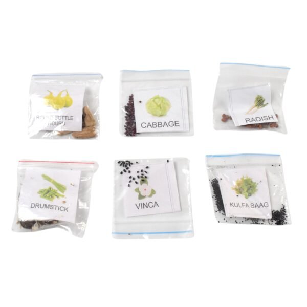 20 Varieties of Vegetable & Flower Seeds Combo (1 Pkt. / 20 Varieties) - Image 5