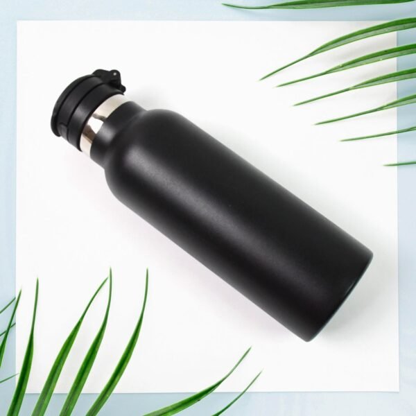 Water Bottle for Kids ? Insulated Stainless Steel Bottle (650 ML / 1 Pc)