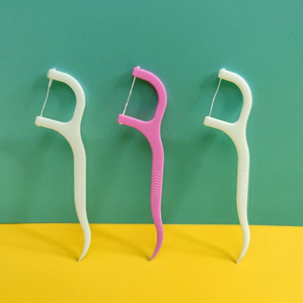 Oral Care Dental Floss Toothpick Sticks - Image 4
